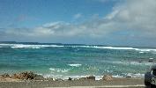 IMG_20140309_121336_781.jpg
