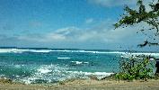 IMG_20140309_121345_597.jpg
