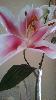 IMG_20150513_141116_355.jpg