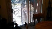IMG_20150320_125919_180.jpg