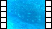 FHD0006.MOV