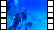 FHD0011.MOV