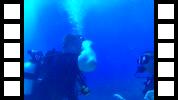 FHD0012.MOV