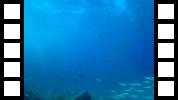 20150105_235606A.mp4
