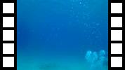 20150106_001012A.mp4