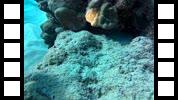 20150106_001816A.mp4