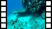 20150106_015328A.mp4