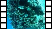 20150106_015529A.mp4
