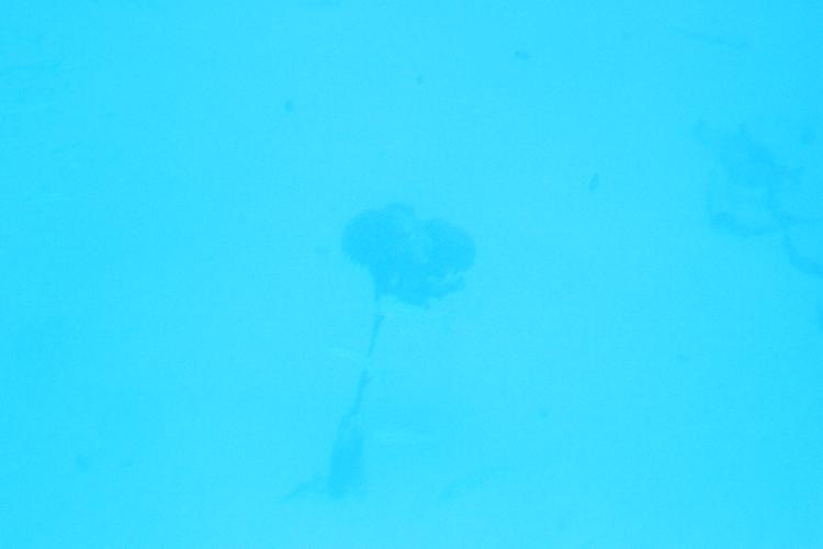 IMGL0944.JPG
