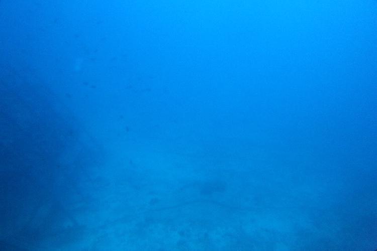 IMGL0952.JPG