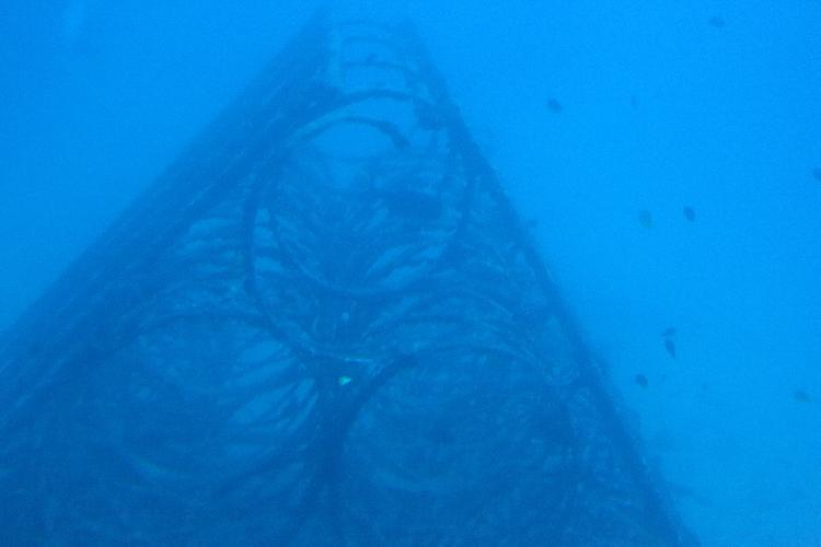 IMGL0957.JPG