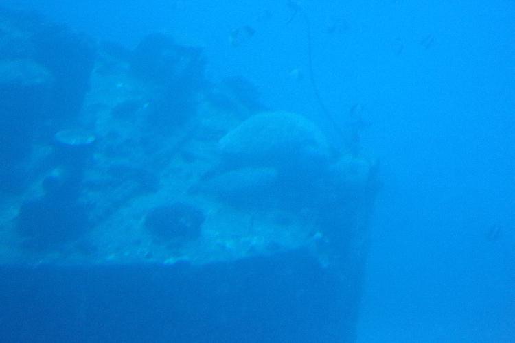 IMGL0968.JPG
