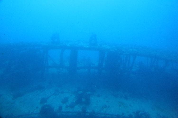 IMGL0974.JPG
