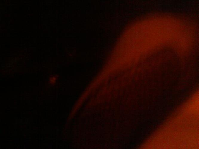 100_0429.JPG