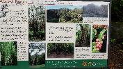 IMG_20190708_141422.jpg