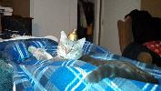 IMG_20150224_210116_241.jpg