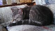 IMG_20150414_114955_324.jpg