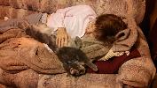 IMG_20151115_183200_620.jpg