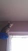 IMG_20150423_183928_274.jpg
