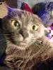 thumb_IMG_1654_1024.jpg